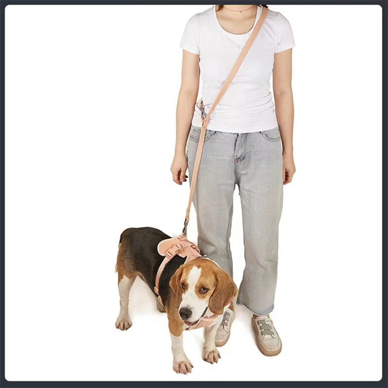 Waterproof Traction Leash