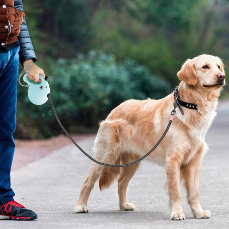 Retractable Leash